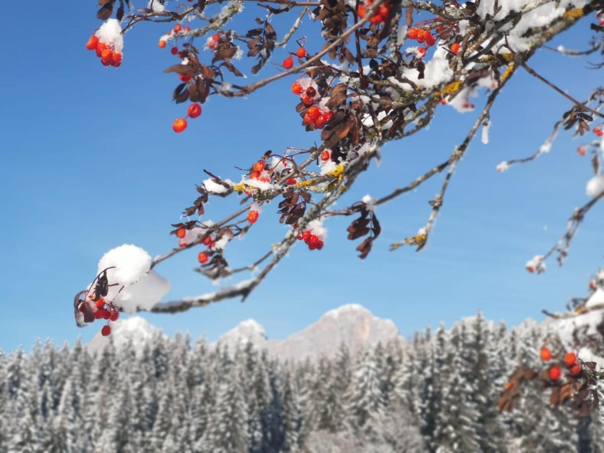 Hotel Stockerwirt Ramsau am Dachstein Kültér fotó