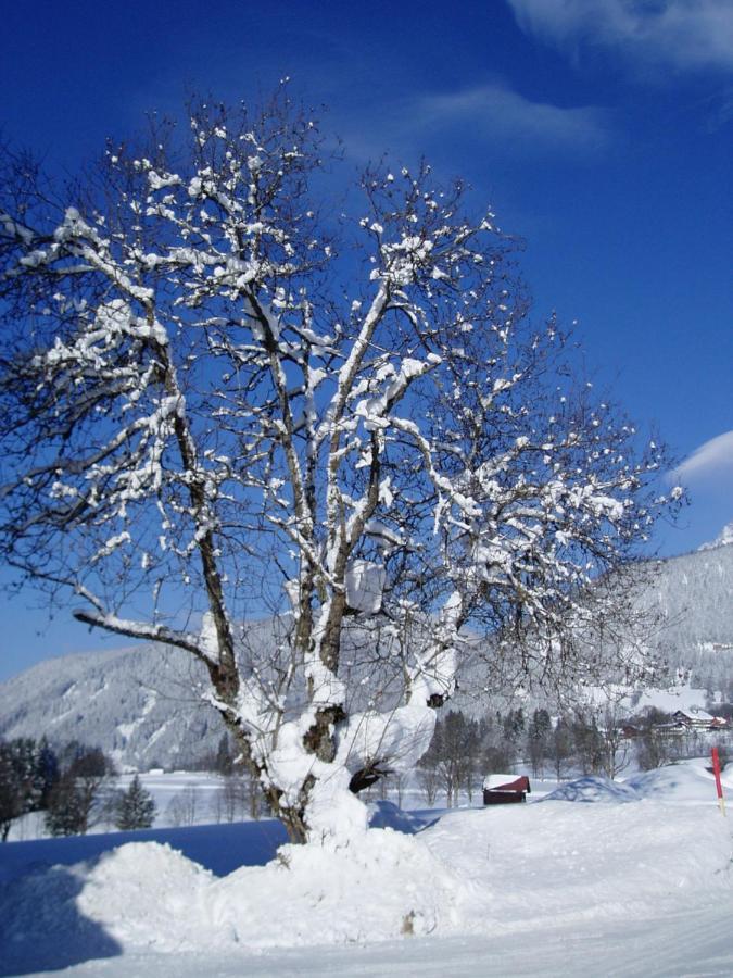 Hotel Stockerwirt Ramsau am Dachstein Kültér fotó