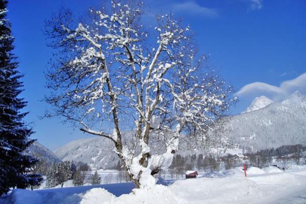 Hotel Stockerwirt Ramsau am Dachstein Kültér fotó